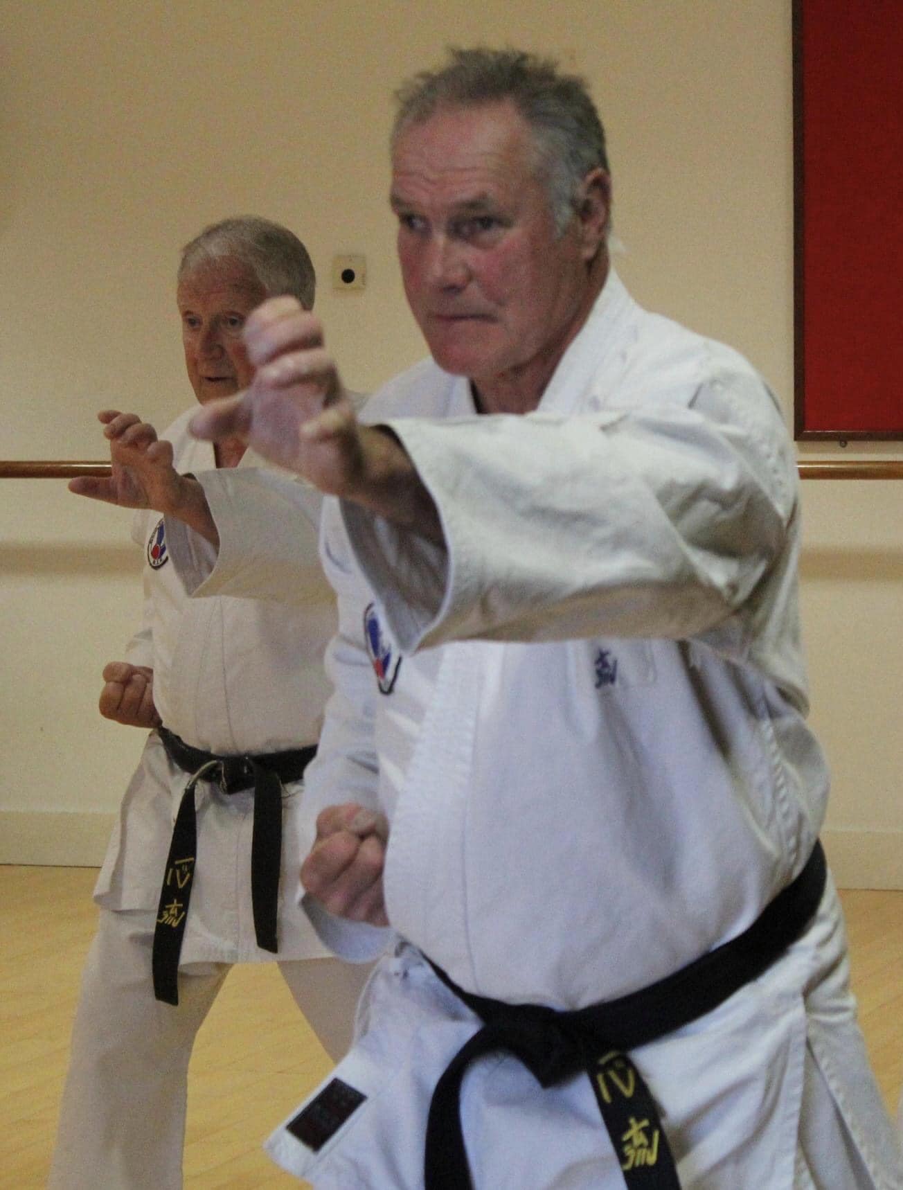 Peter_Bowler_karate.jpeg