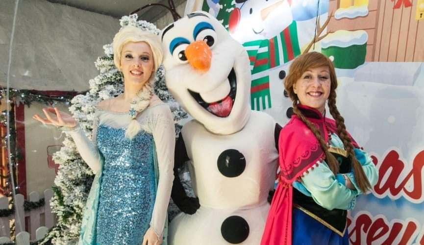 frozen_co-op.jpeg
