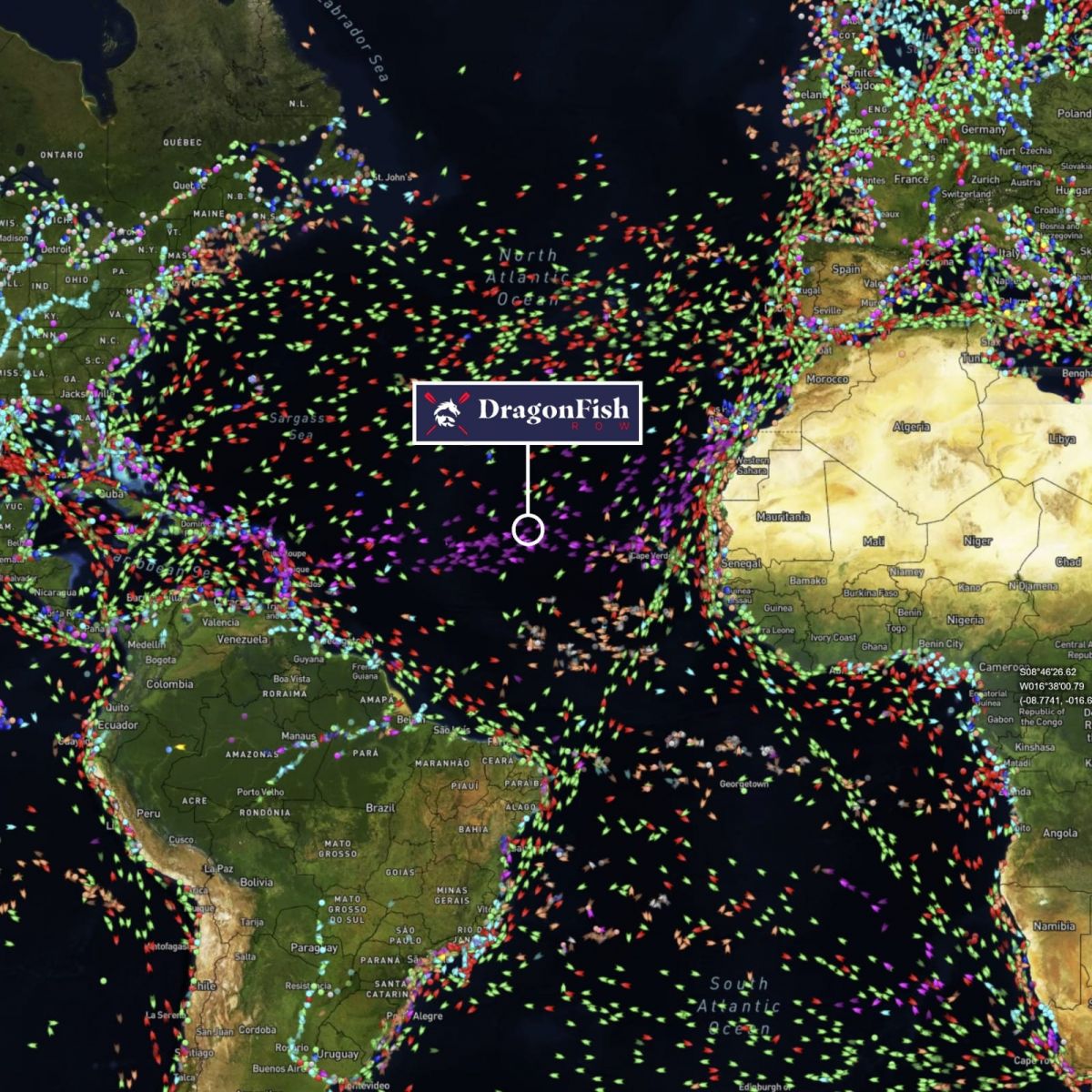Ocean_Traffic_DragonFish.jpeg