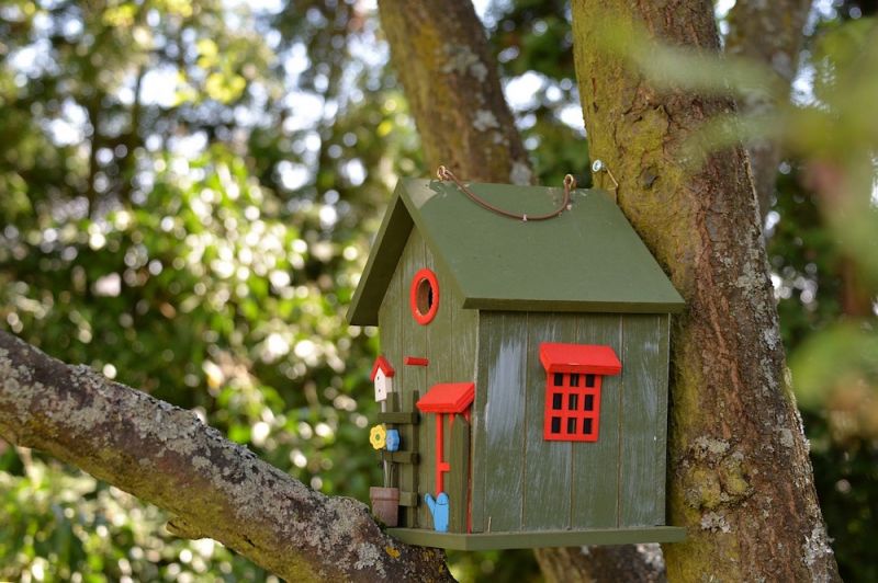 bird_box.jpg