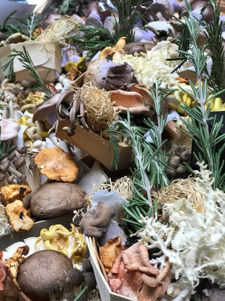 Mushrooms_Borough_Market.jpg