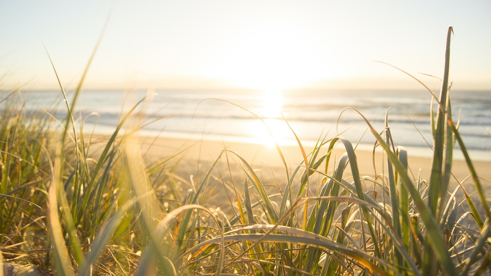 sunny_beach.jpg