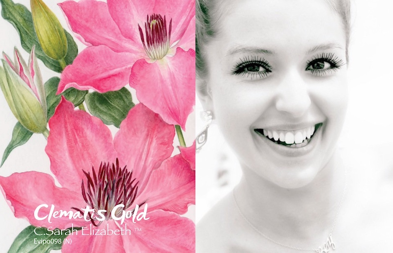 Sarah_groves