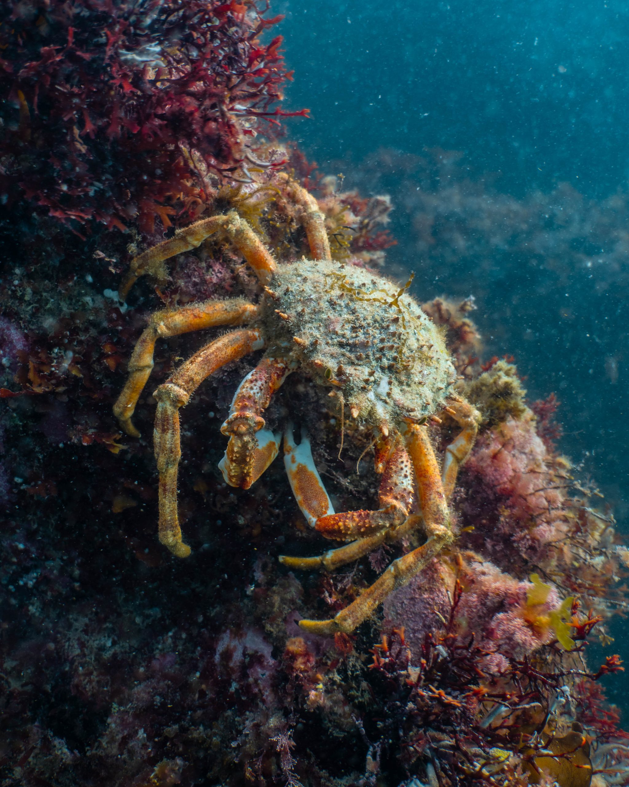 Snorkel_Trail.jpg