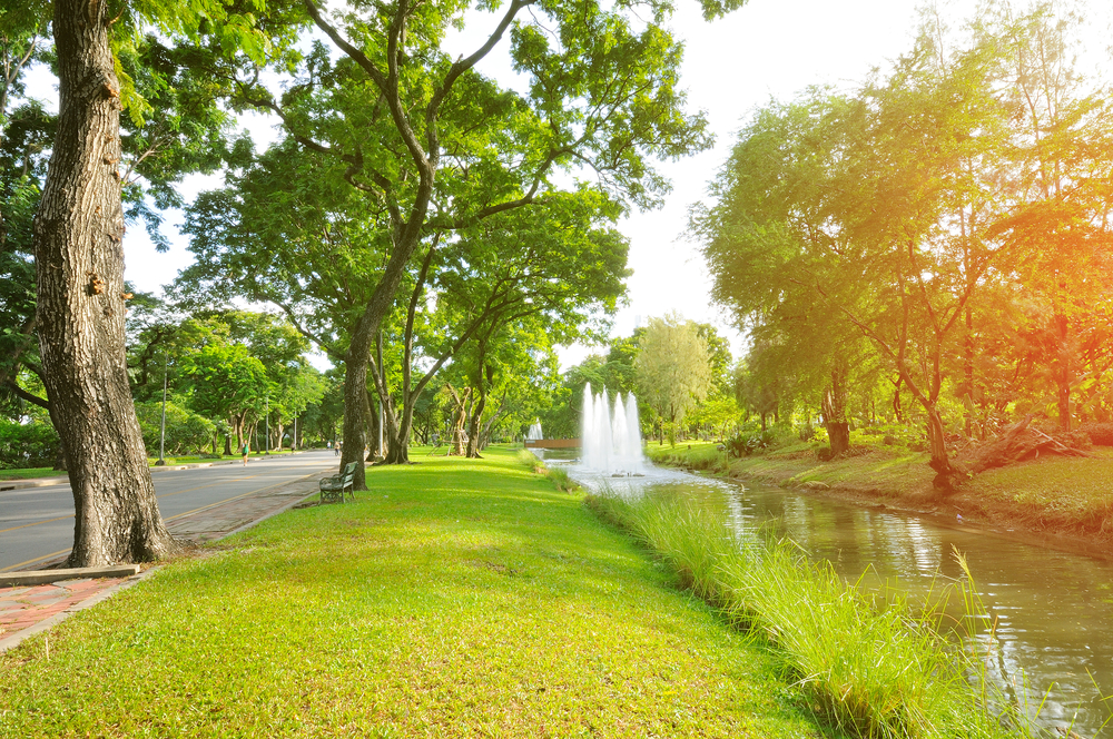 green_space_park_countryside_.jpg