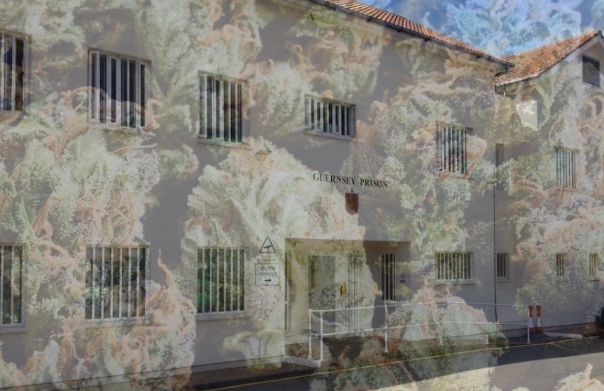 prison_cannabis.jpg