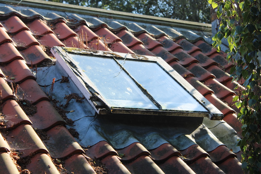 Candie_Garden_Lower_Greenhouse_roof_light_rot.JPG