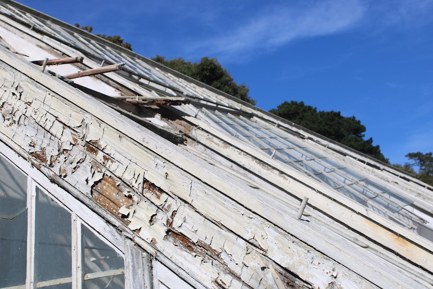 Candie_Gardens_lower_greenhouse_neglect_rot.JPG