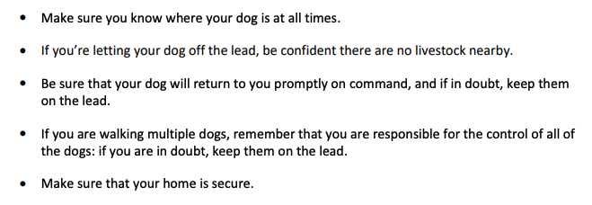 Dog_advice.png