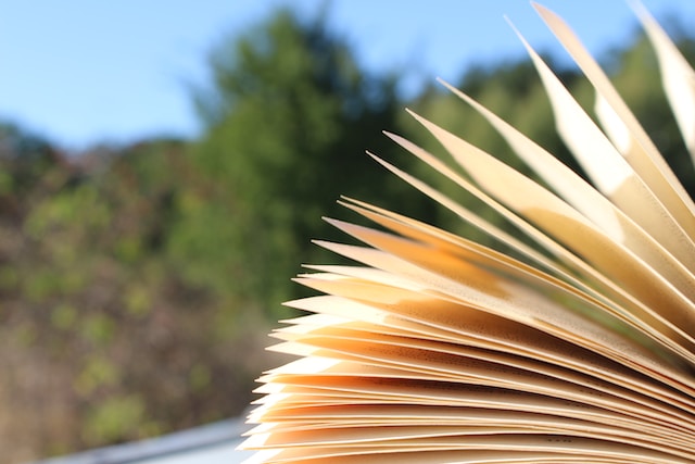 reading book