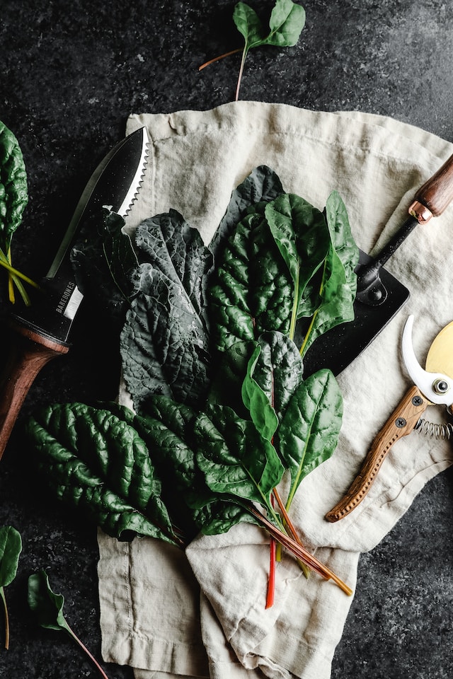 leigh-skomal-ZZGo3YcGbaw-unsplash_1.jpg