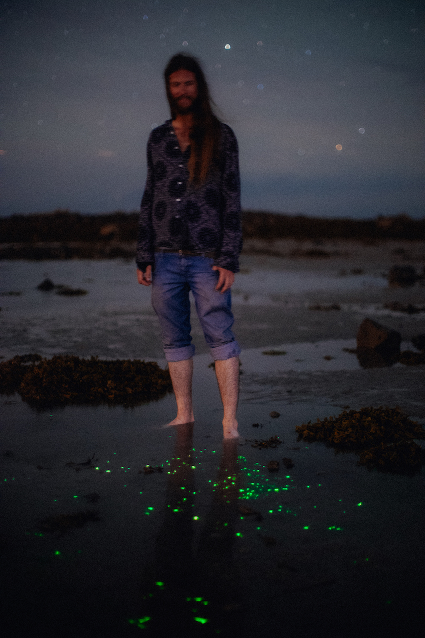 Elliott mariess bioluminescence