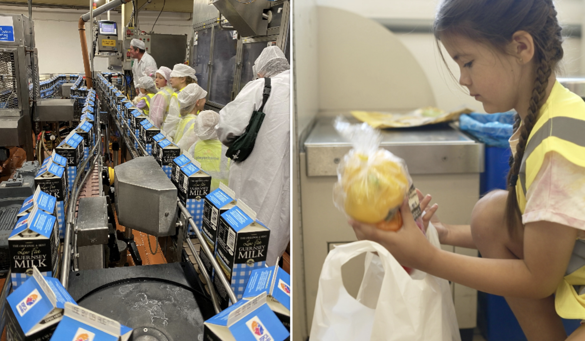 farm to fork
