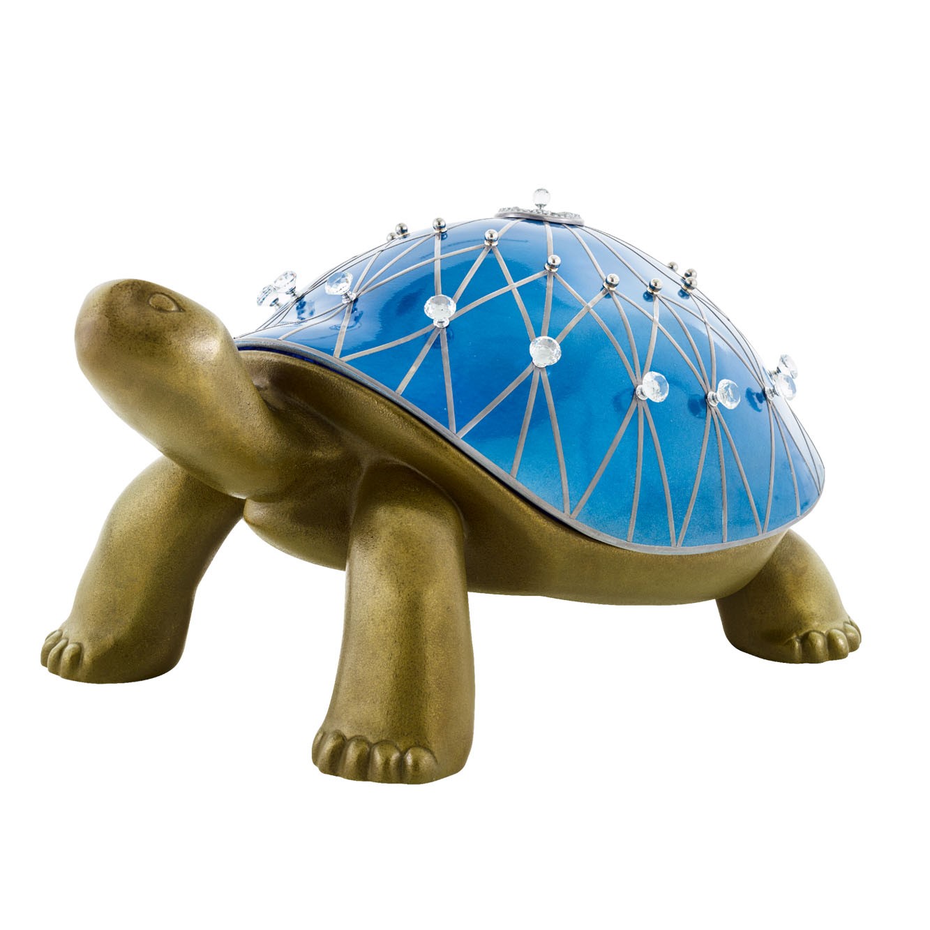 Tortoise_2.jpg