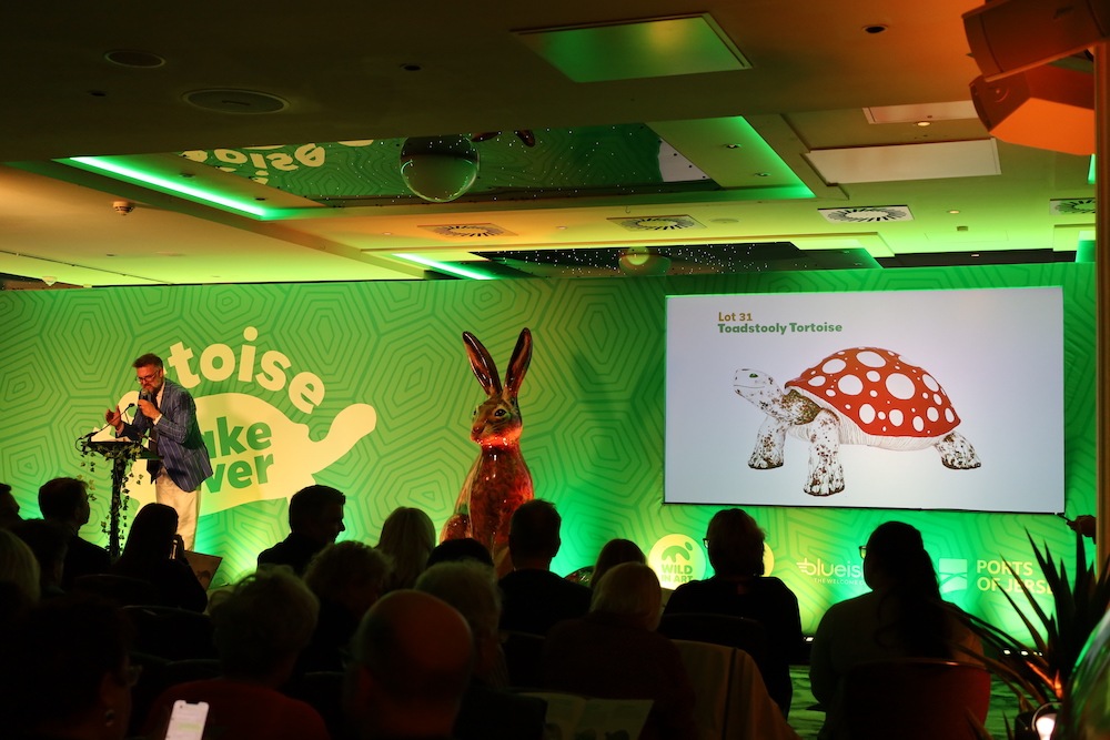 Tortoise_auction_toadstooly.JPG