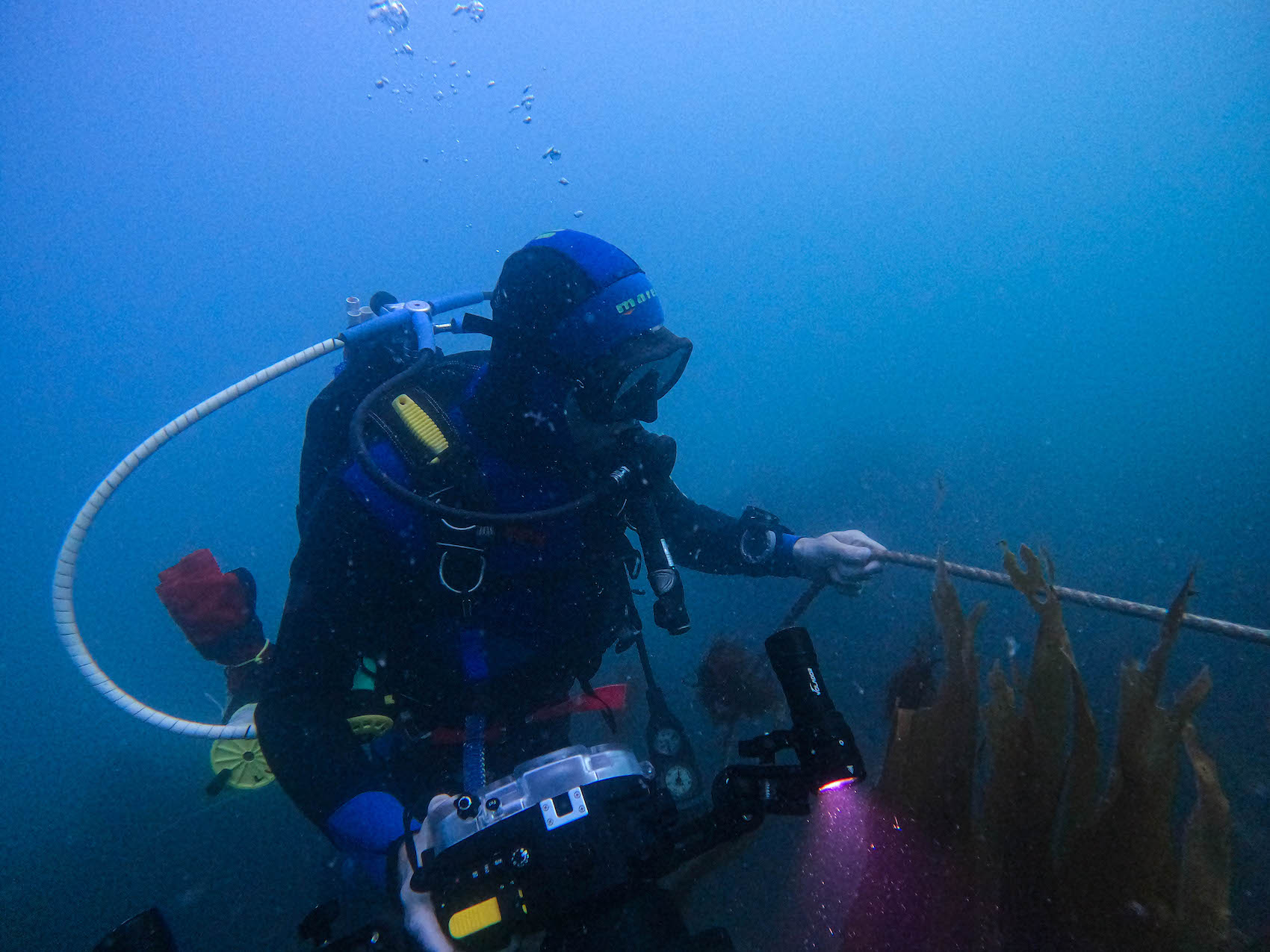DCIM100GOPROGOPR0038.JPG