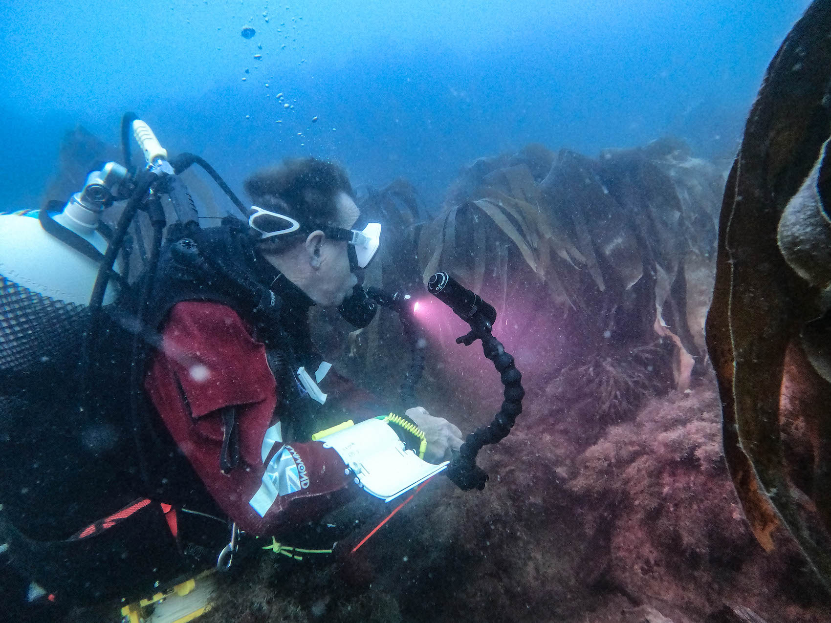 DCIM100GOPROGOPR0056.JPG