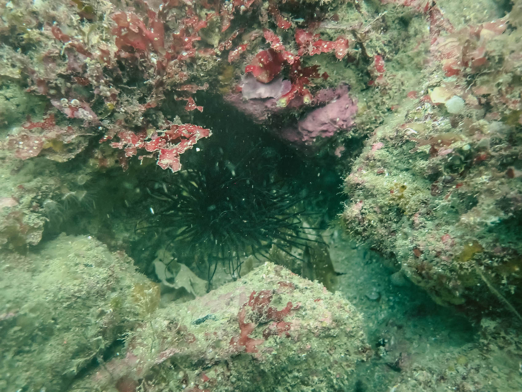 P8070334