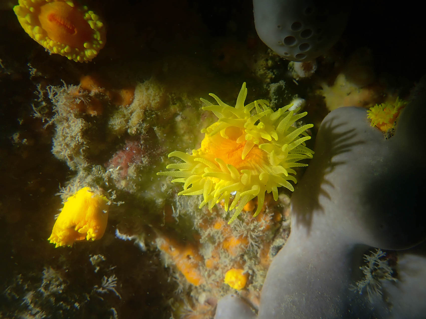 P8070346