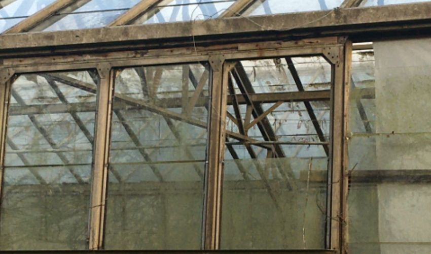 glass_house.jpeg