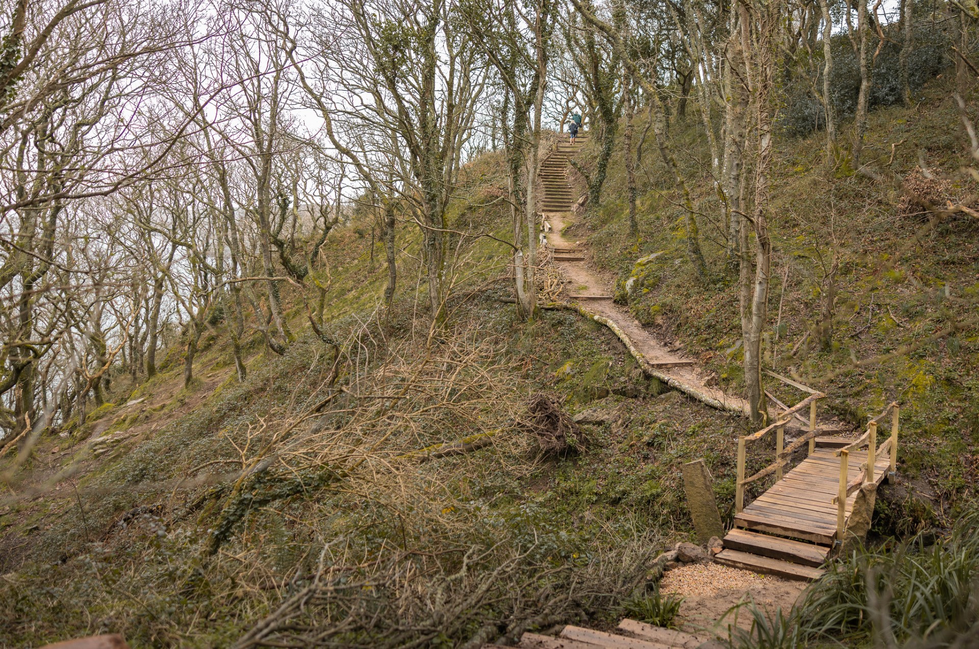 Footpath.jpg