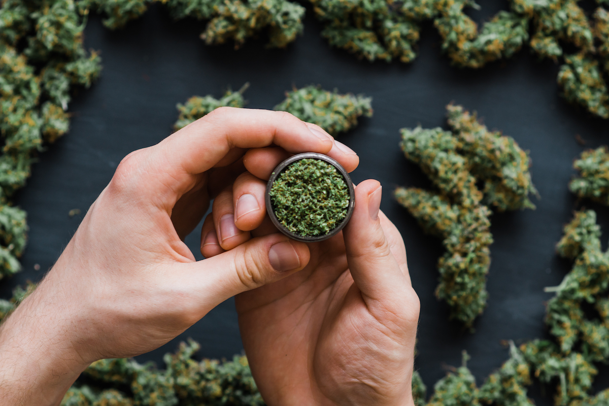 Cannabis_2.jpg
