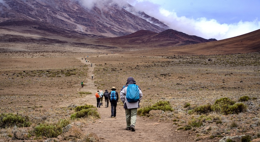 Kilimanjaro