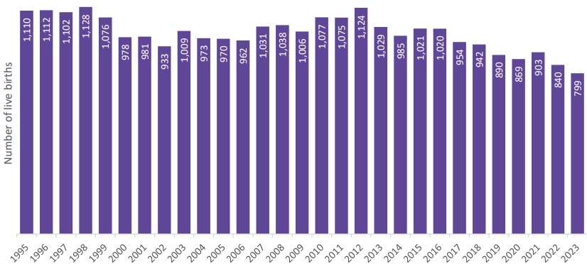 Births_by_year.jpg