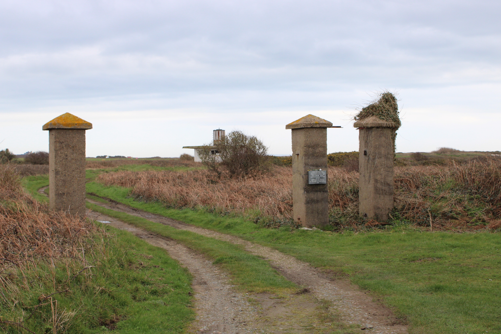 Sylt_2.JPG