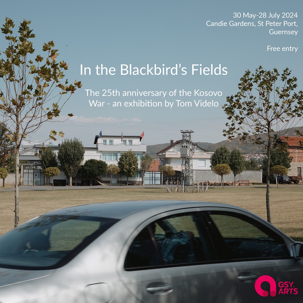 BlackbirdsFields.jpg
