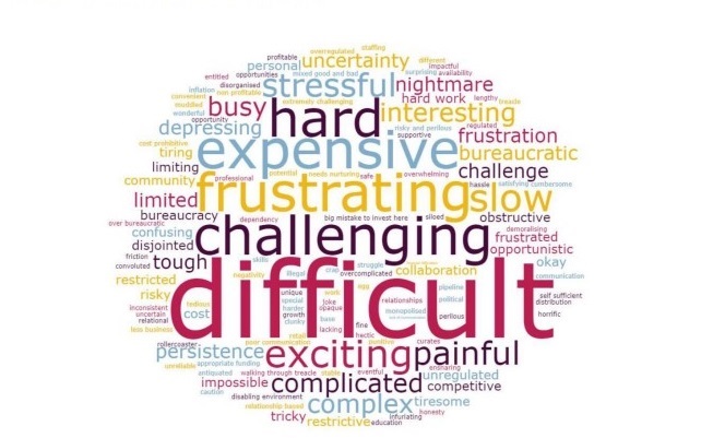 wordle.jpg
