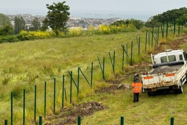 Fence.jpg