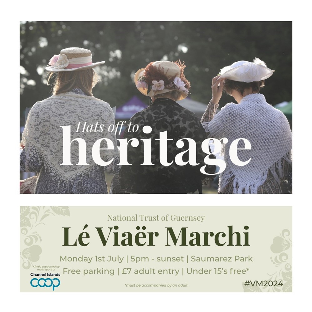 Viaer_marchi.jpg