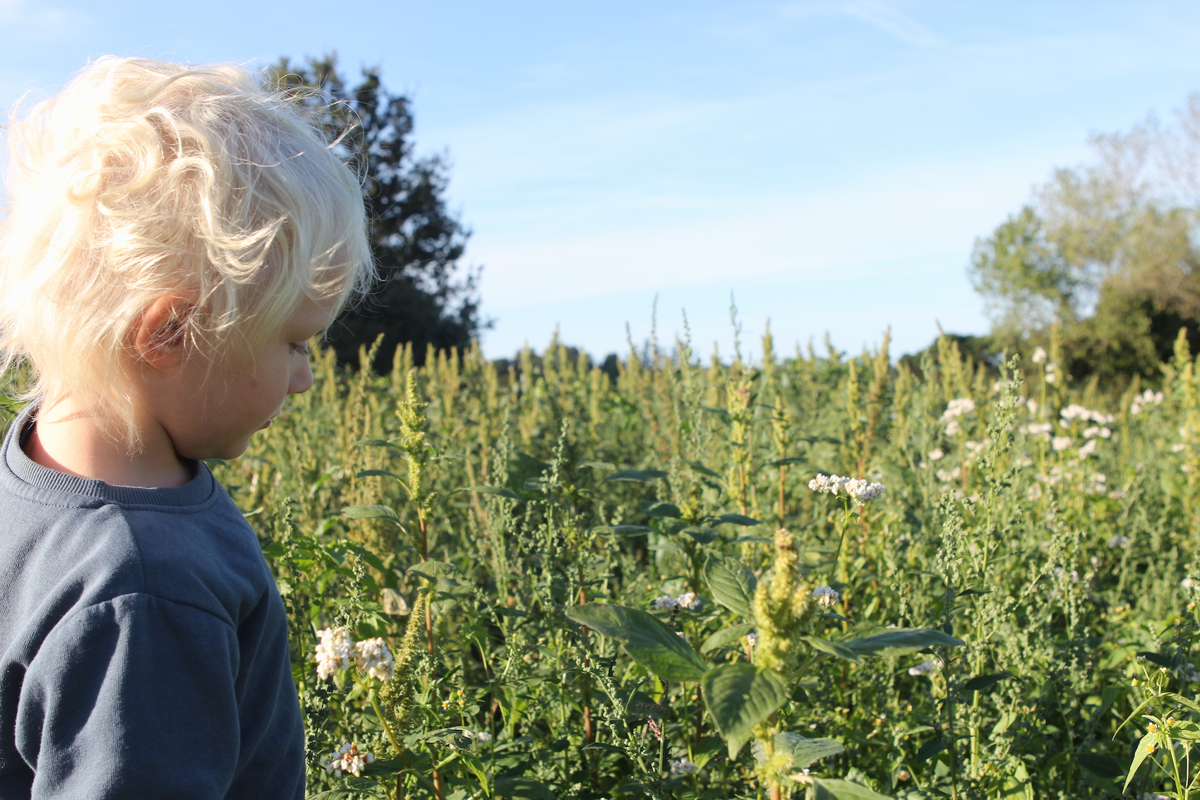 Anneville_farm_open_day_2