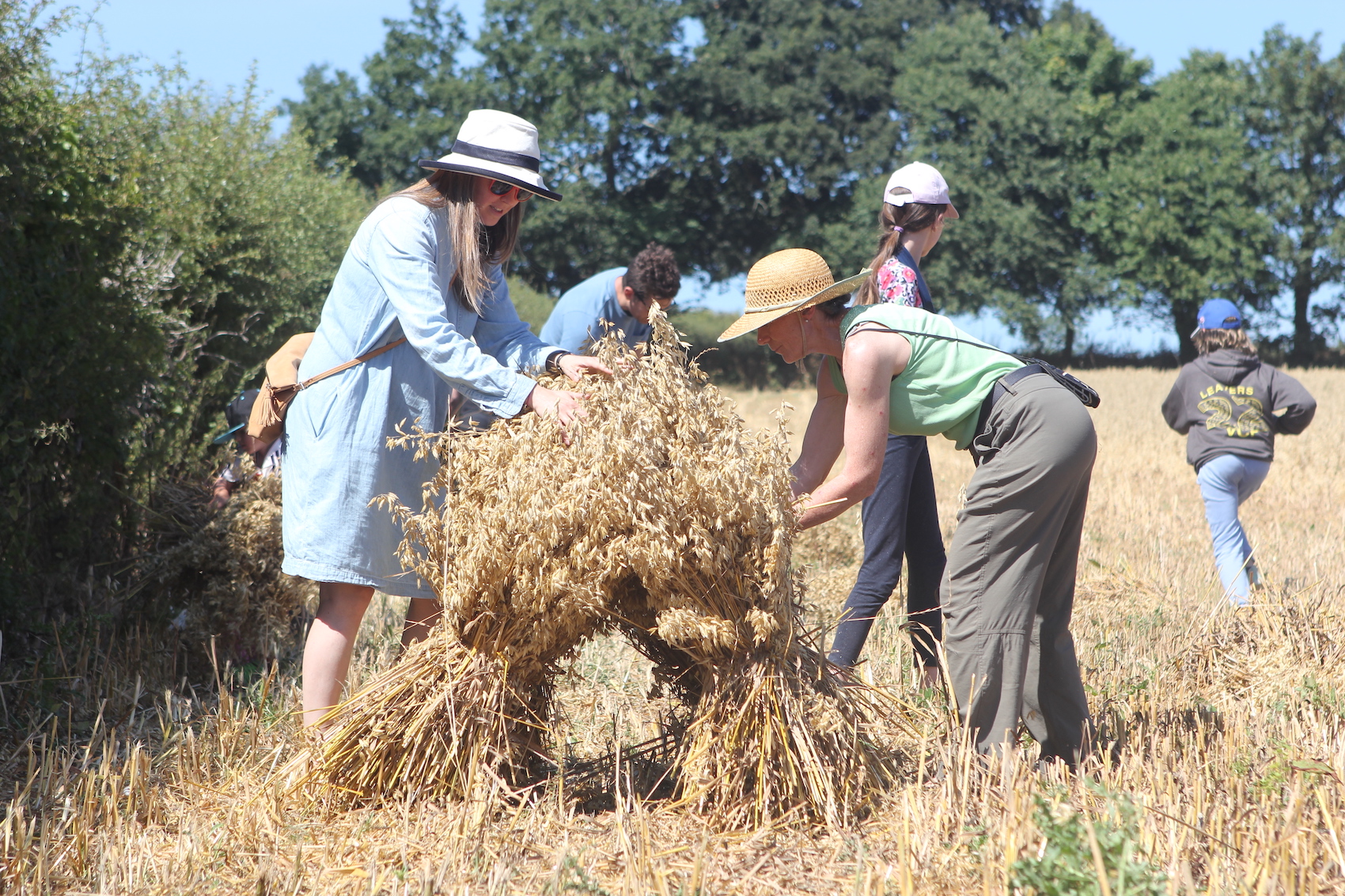 Le_Tacheron_farm_