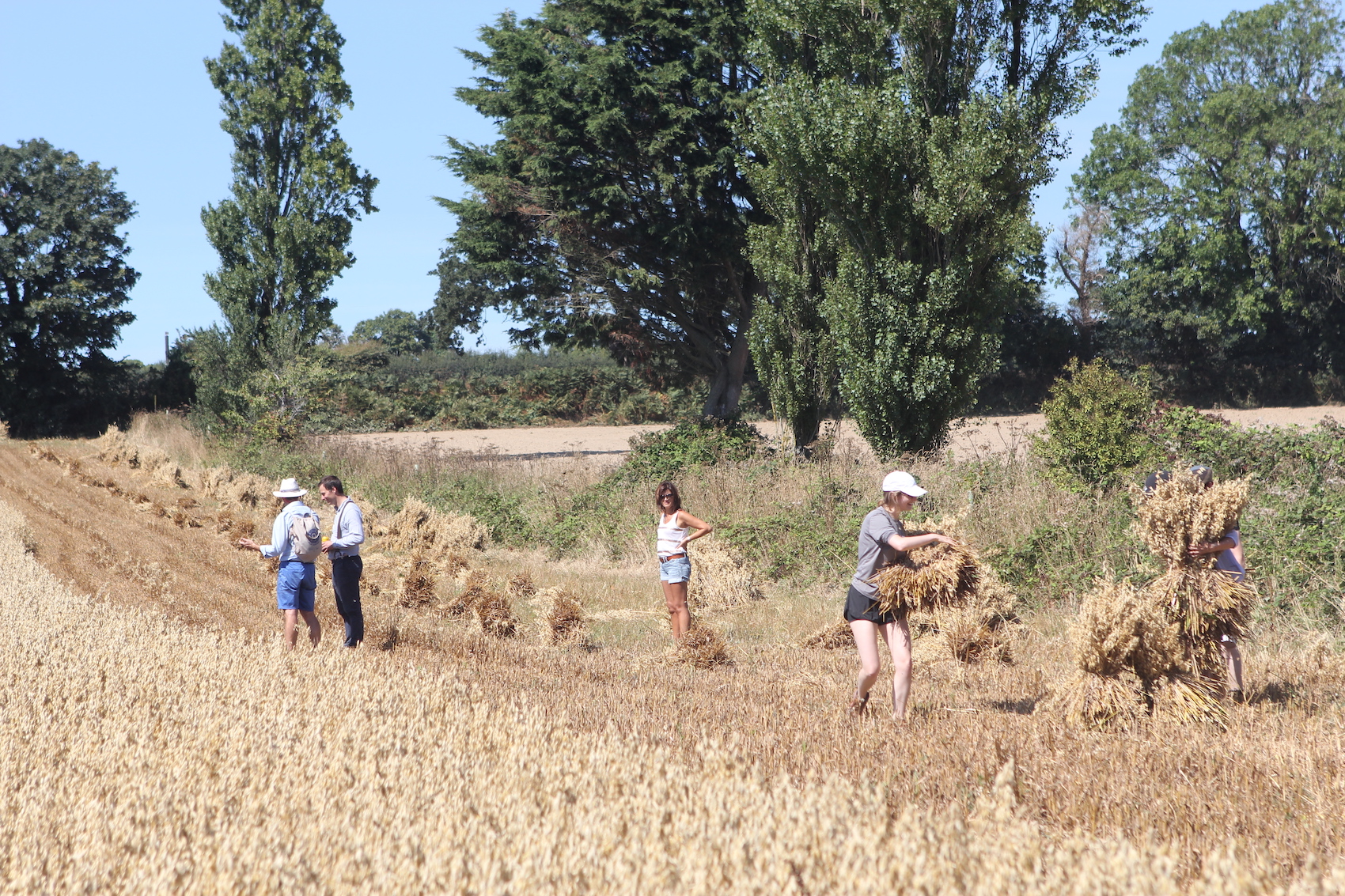 Le_Tacheron_farm_2