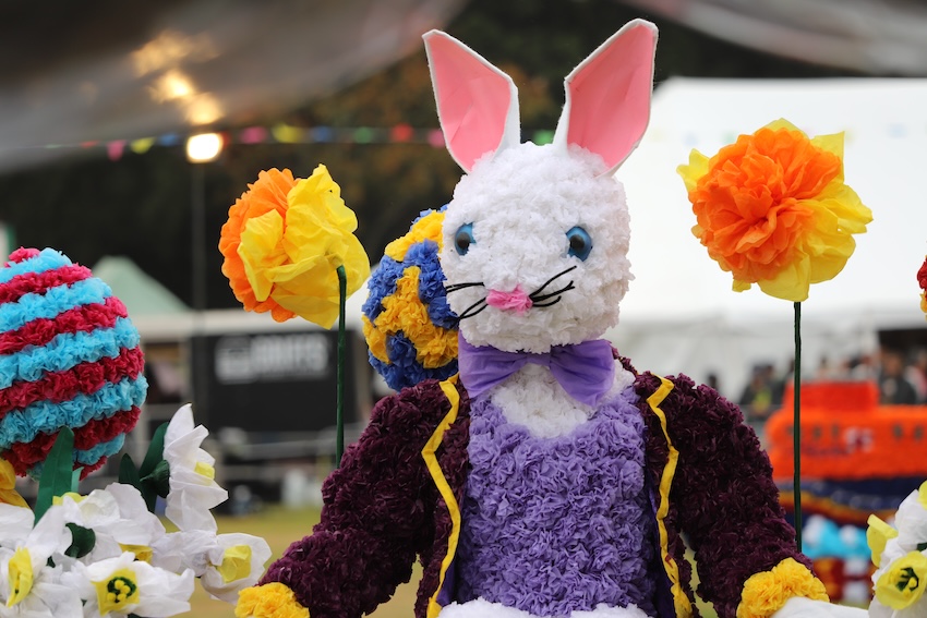 North_Show_2024_Battle_of_Flowers_bunny.JPG