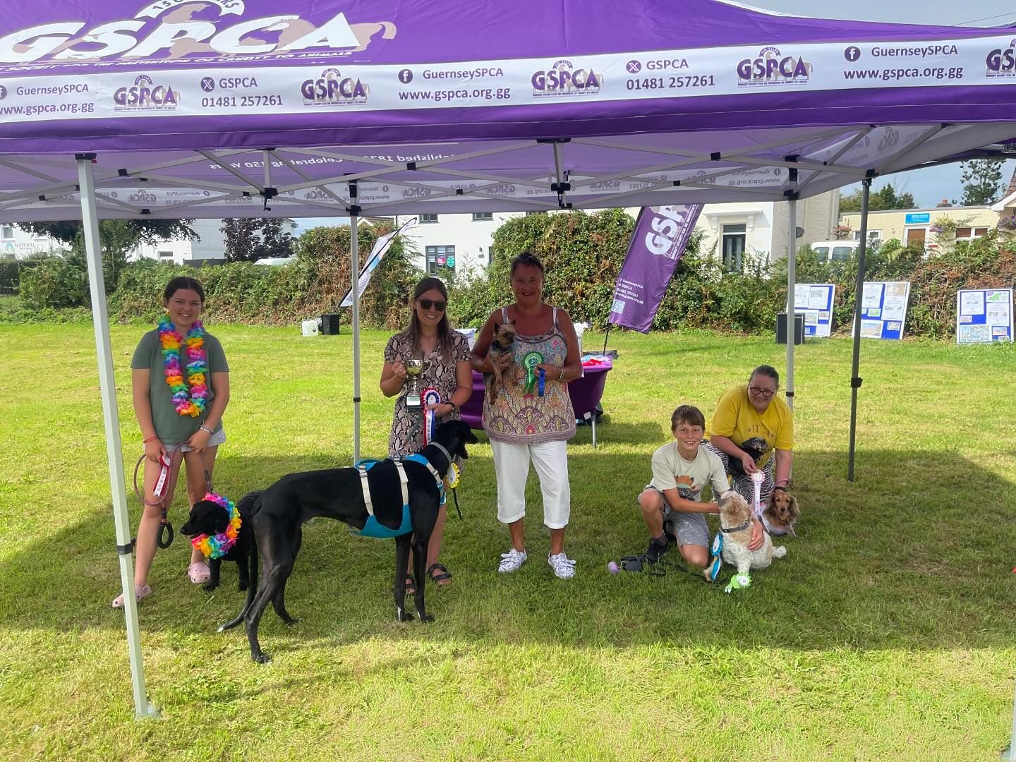 best-in-show-class-south-show-2024-gspca