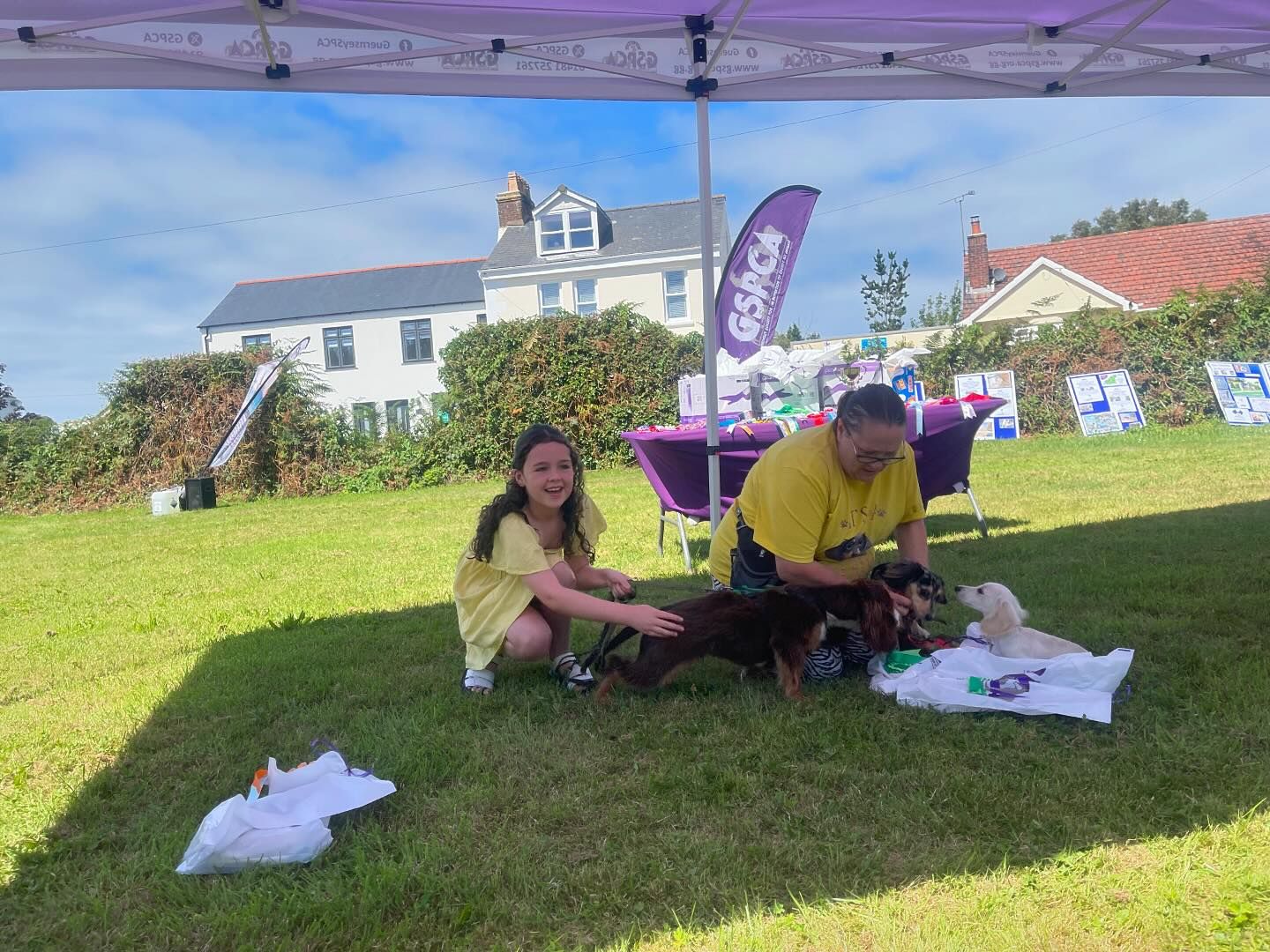 best-puppy-class-south-show-gspca-2024
