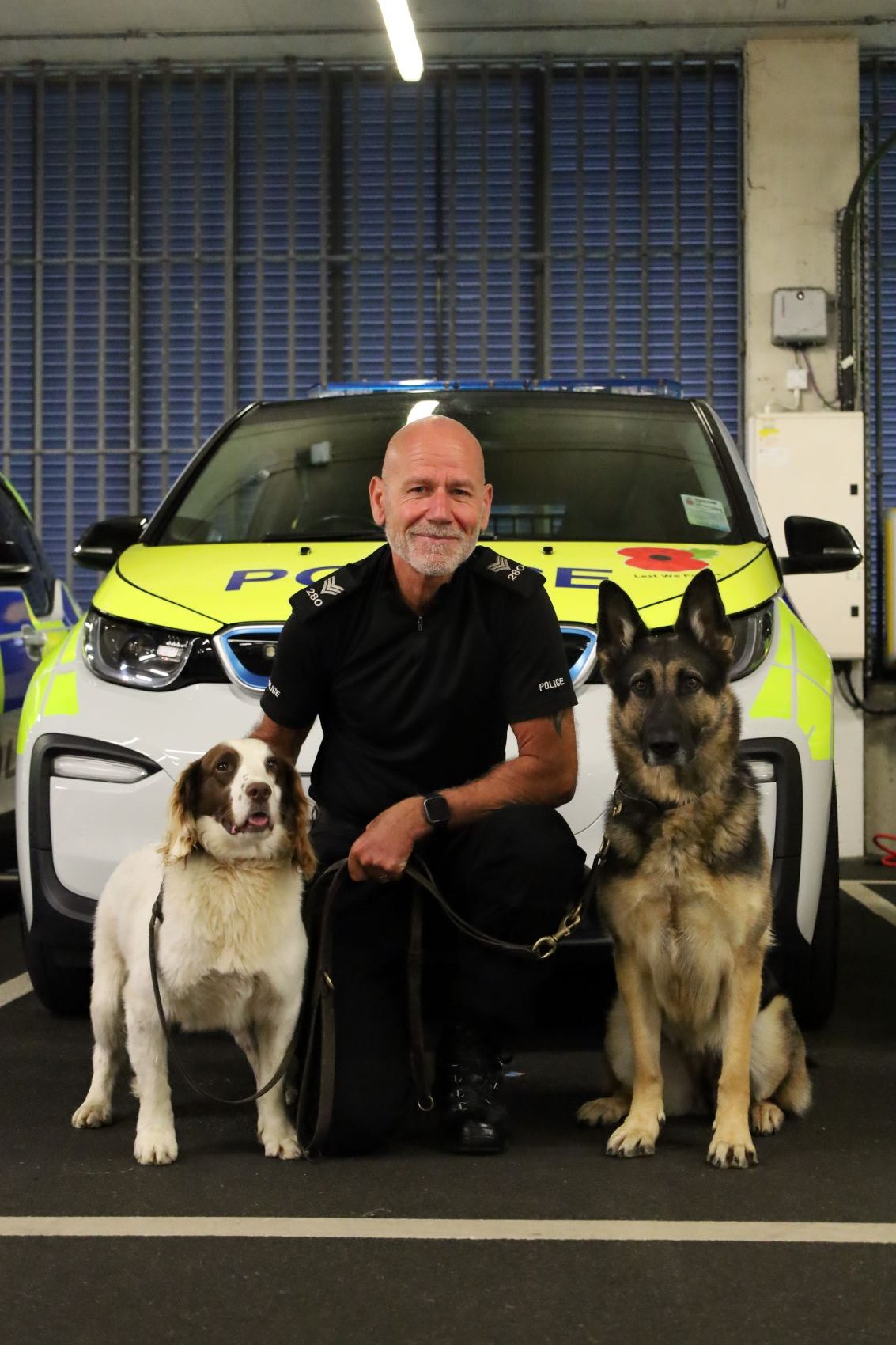 Dave_Bissin_con_doggos.JPG