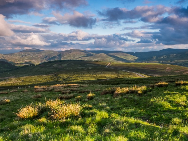 Cairngorms_National_Park_Scotland.jpg