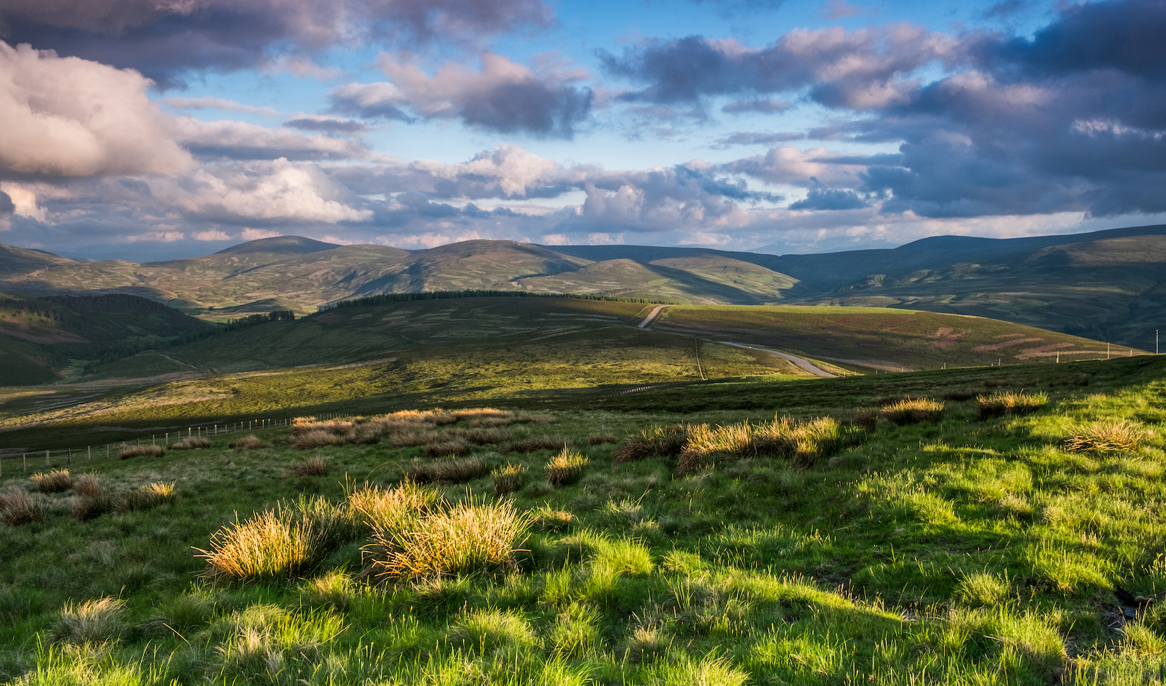 Cairngorms_National_Park_Scotland.jpg