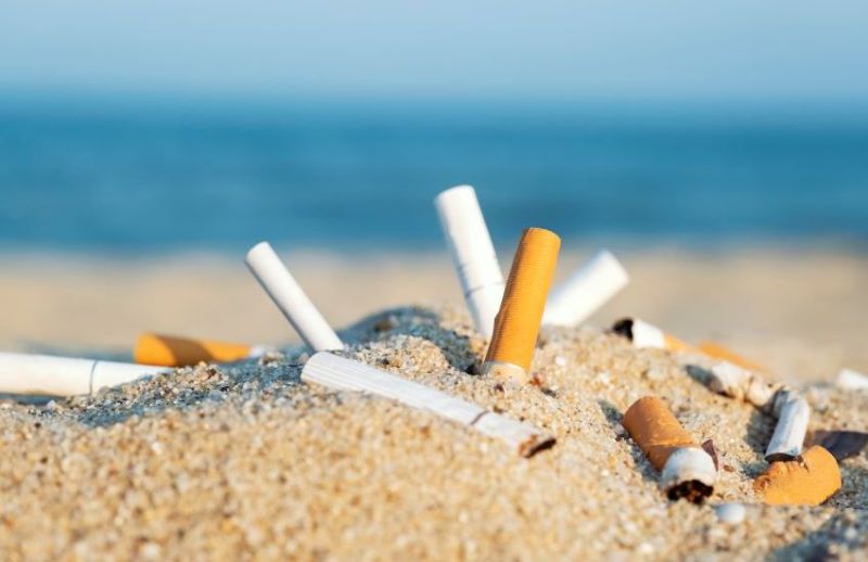 cigarette butts on a beach