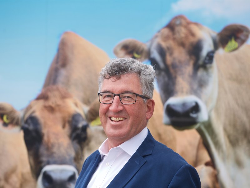 Jersey Dairy MD