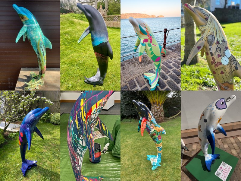 The end of the Dolphin Discovery Trail - Bailiwick Express News