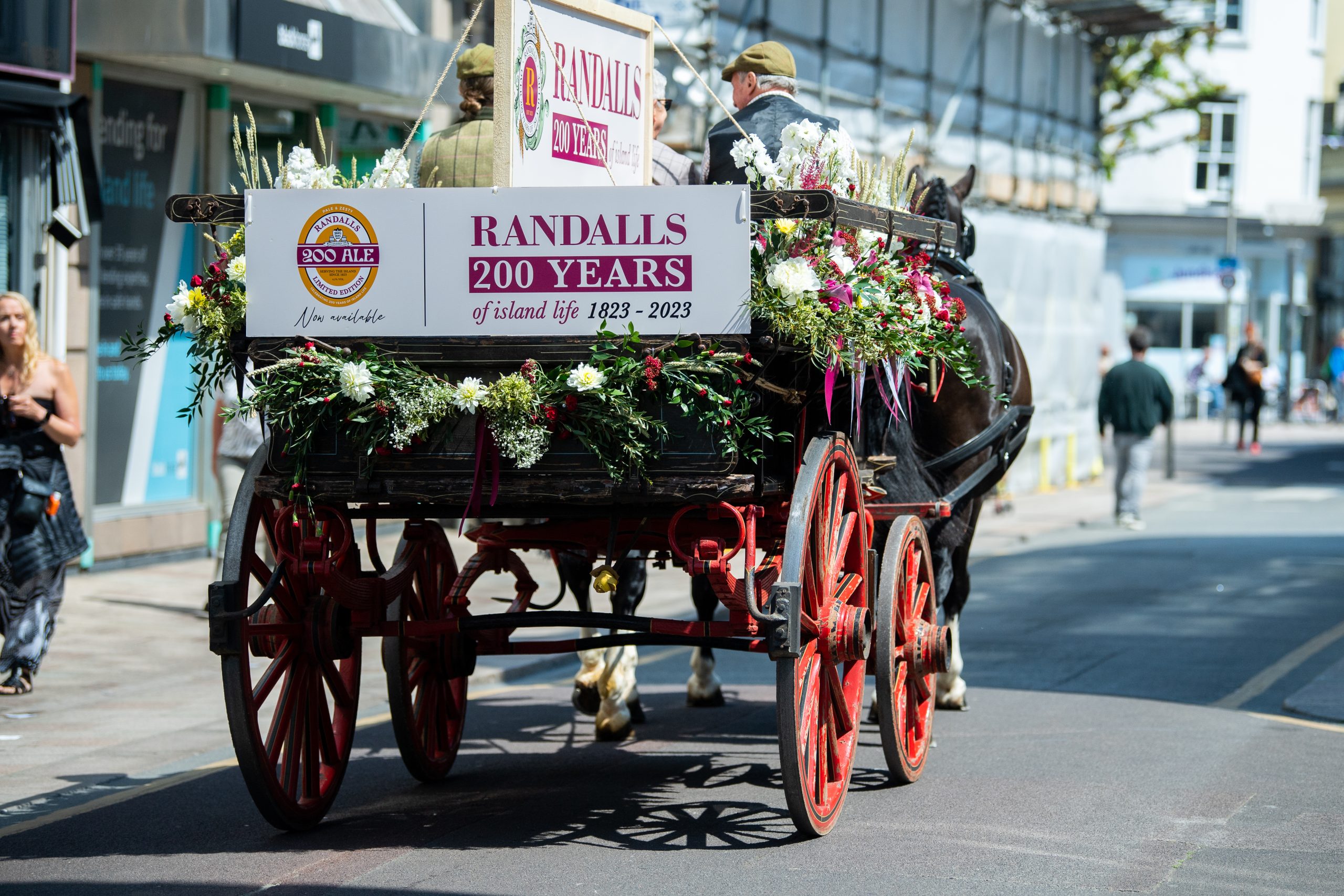 randalls-appoints-new-ceo-bailiwick-express-news-jersey