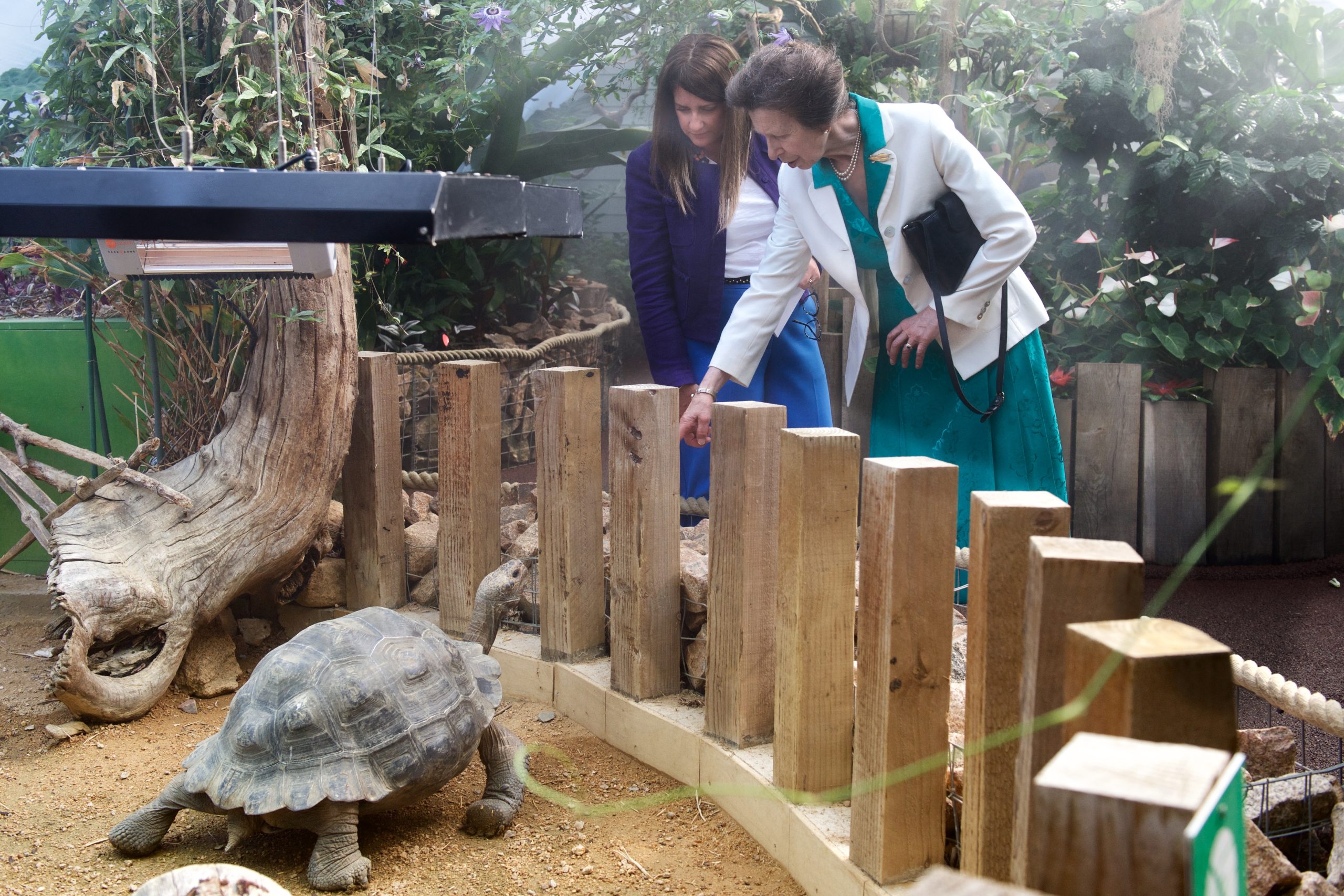 Princess Royal due to visit Jersey in November