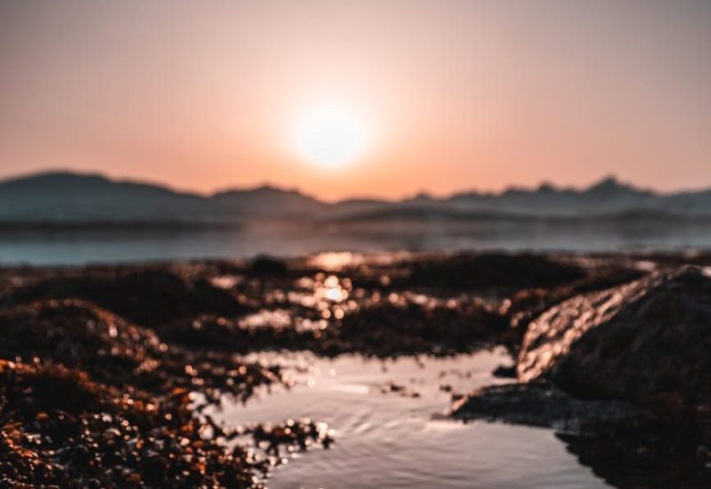 calm body of water