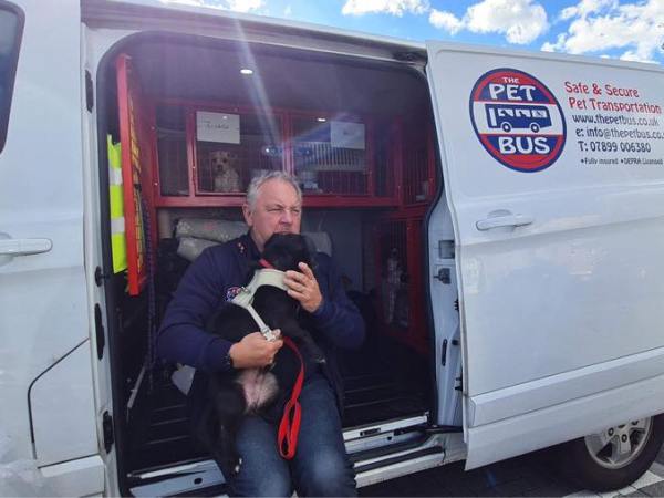 Pet transport bus announces end of Channel Islands services
