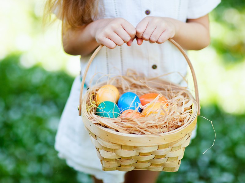 Free dog easter egg hunt
